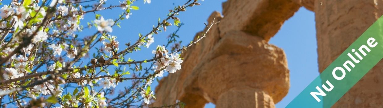 Diamond Body Open Onderzoek